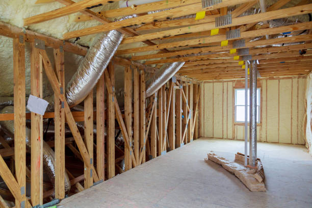 Best Professional Insulation Contractor  in Indian Lake, TX