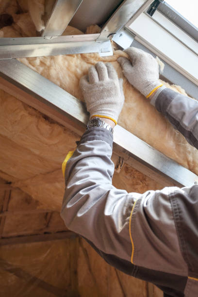 Best Energy-efficient Insulation  in Indian Lake, TX