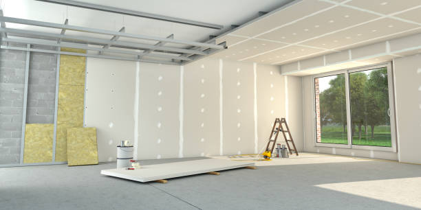 Best Attic Insulation Installation  in Indian Lake, TX
