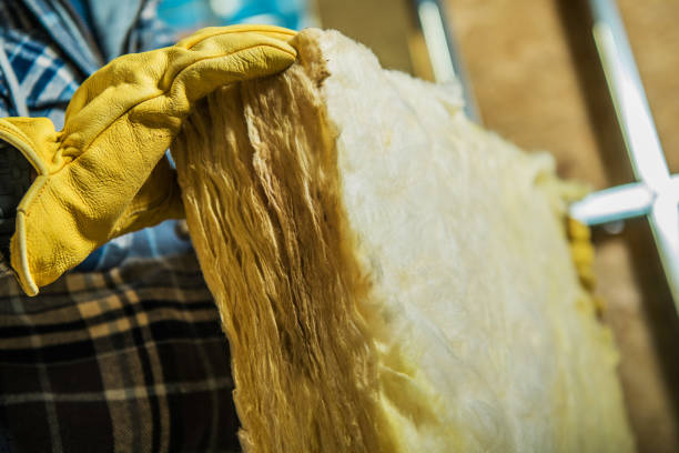 Best Residential Insulation Services  in Indian Lake, TX