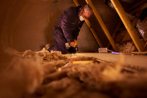 Insulation Inspection Services in Indian Lake, TX